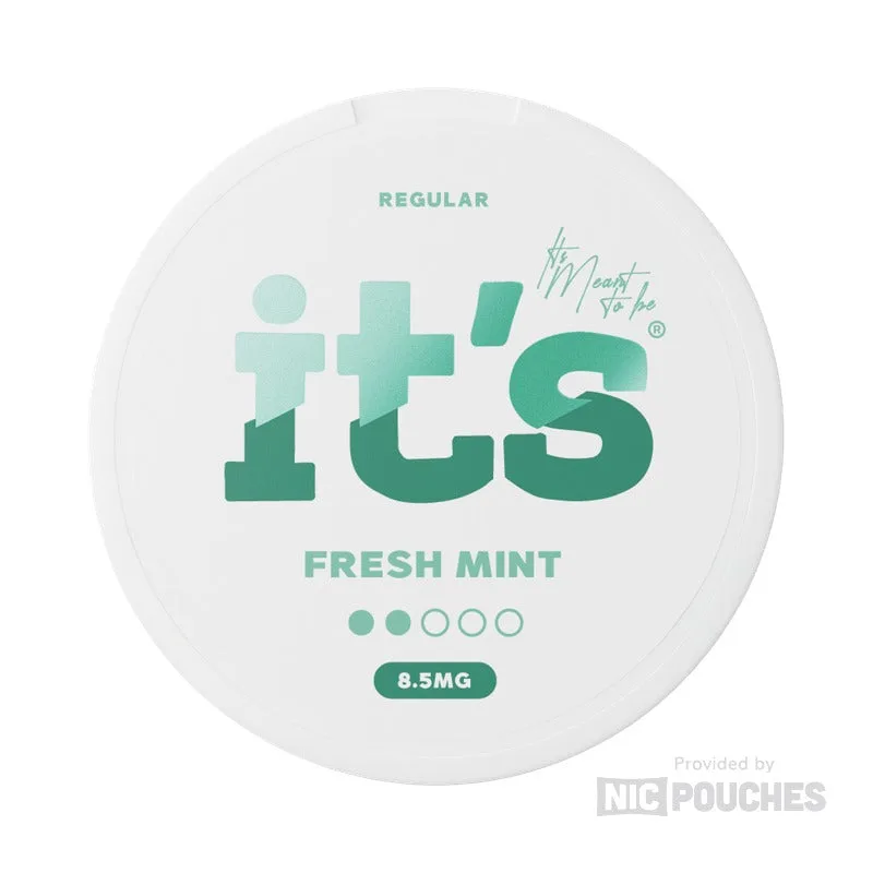 It's Fresh Mint nicotine pouch tin