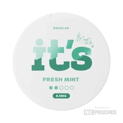 It's Fresh Mint nicotine pouches