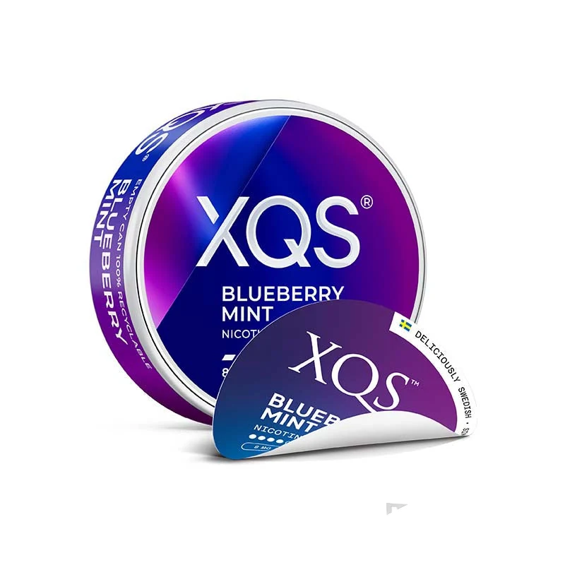XQS Blueberry Mint nicotine pouch tin